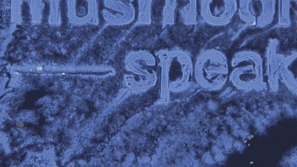 The Mushroom Speaks (detail), 2021
Video installation